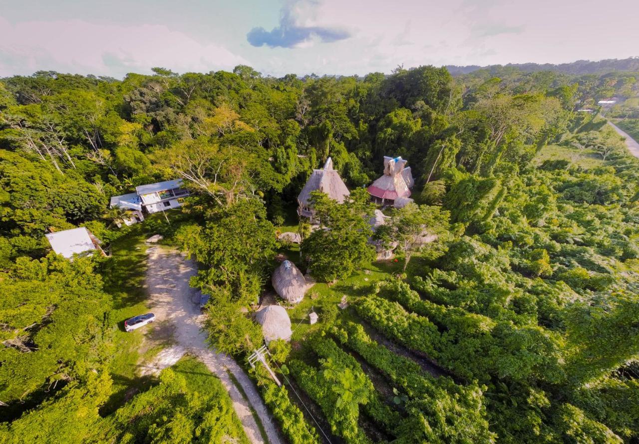 Eco Hotel Sak Nok Lacanjá المظهر الخارجي الصورة